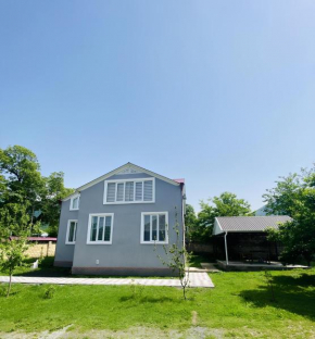 Gabala gray villa